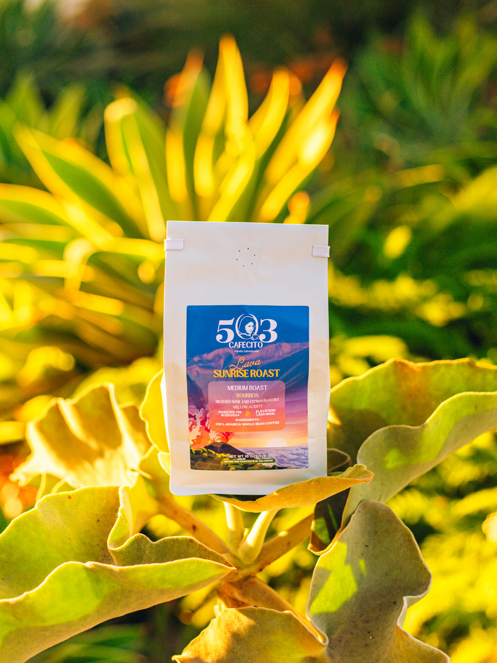 Lava Sunrise Roast - Bourbon | Whole Beans