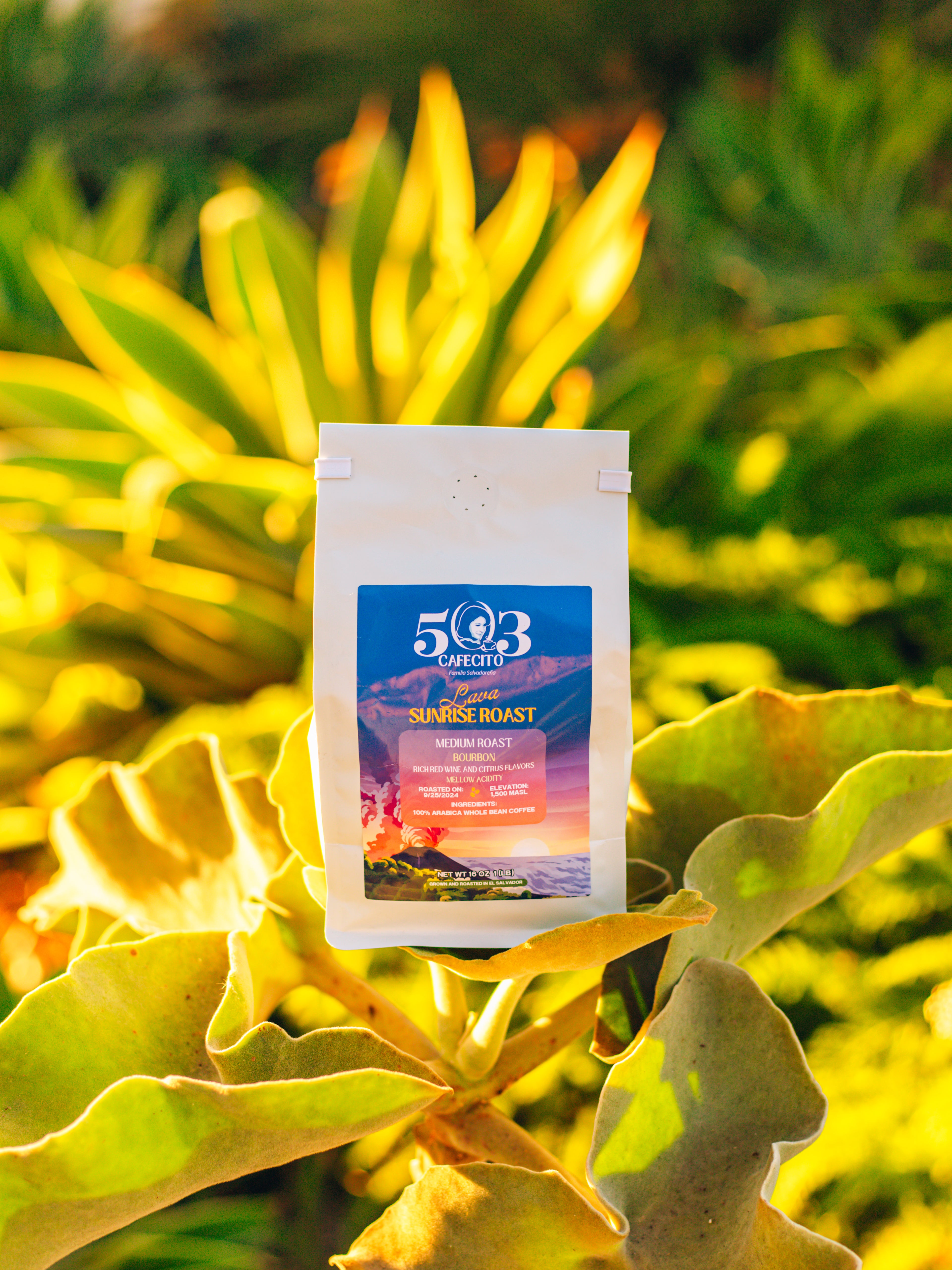 Lava Sunrise Roast - Bourbon | Whole Beans